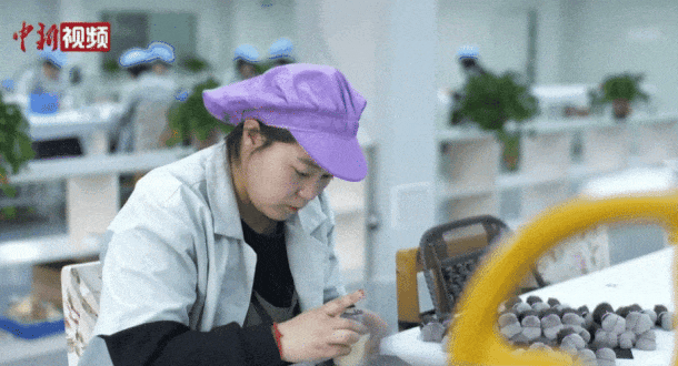 州真有“两把刷子”！冰球突破游戏网站沧(图3)