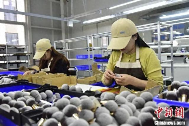 州真有“两把刷子”！冰球突破游戏网站沧(图7)
